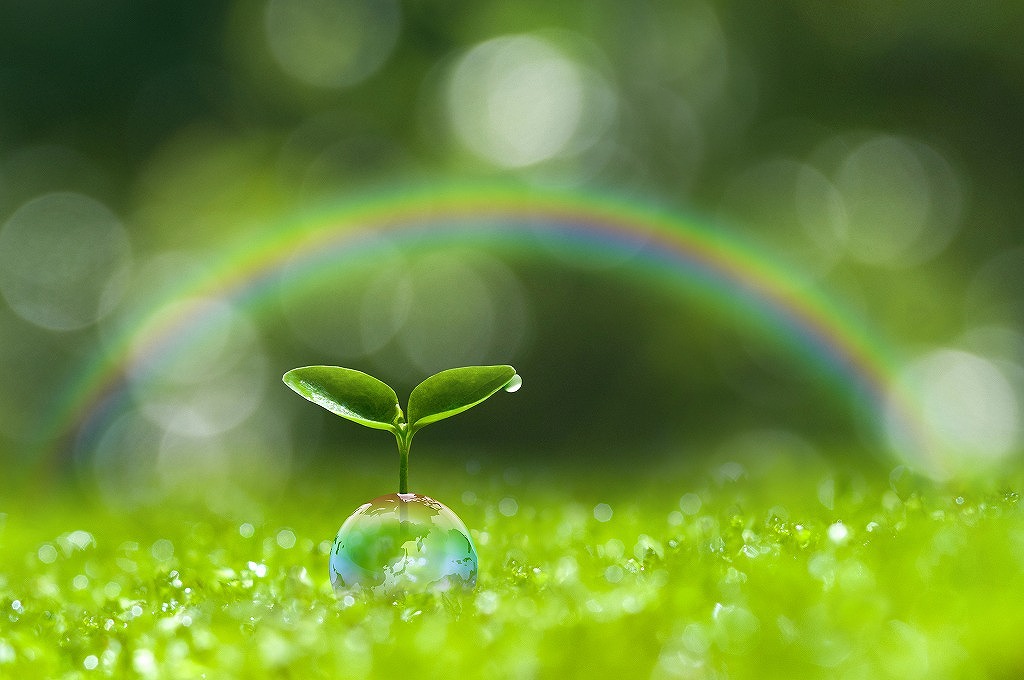 始めるなら今！